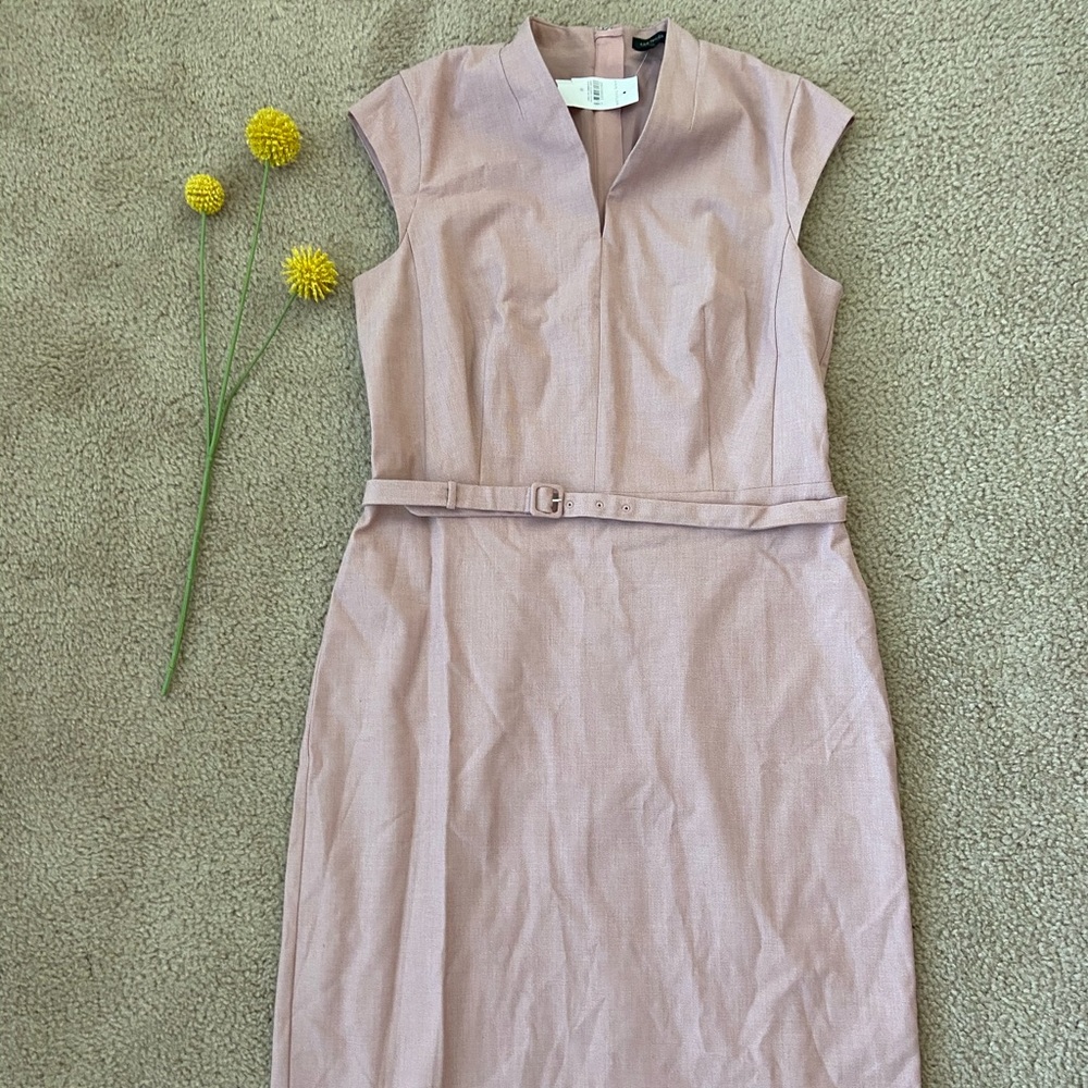 NWT Ann Taylor Dress